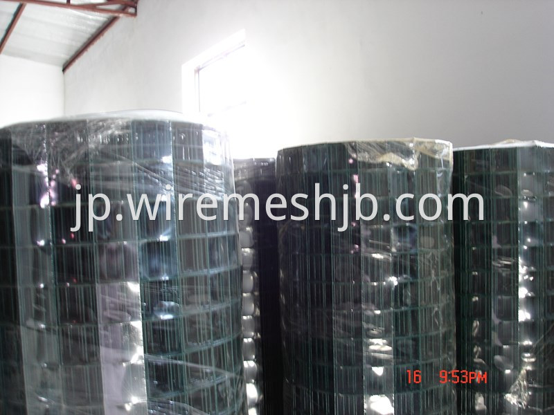 Welded Wire Mesh 